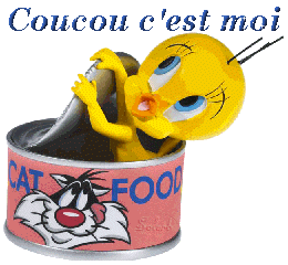 Gif animé coucou Titi